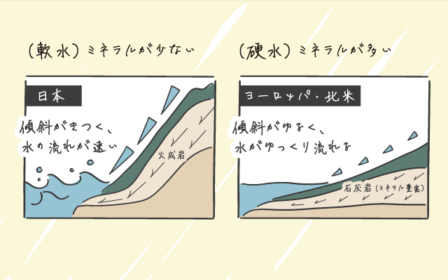 比較グラフ