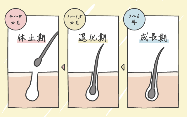 活動休止宣言