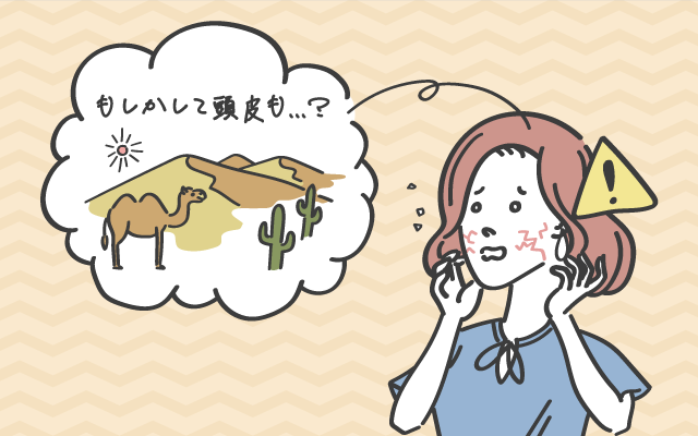 砂漠