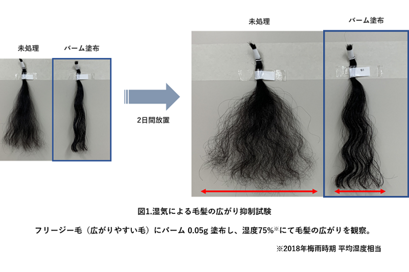 湿気による毛髪の広がり抑制試験