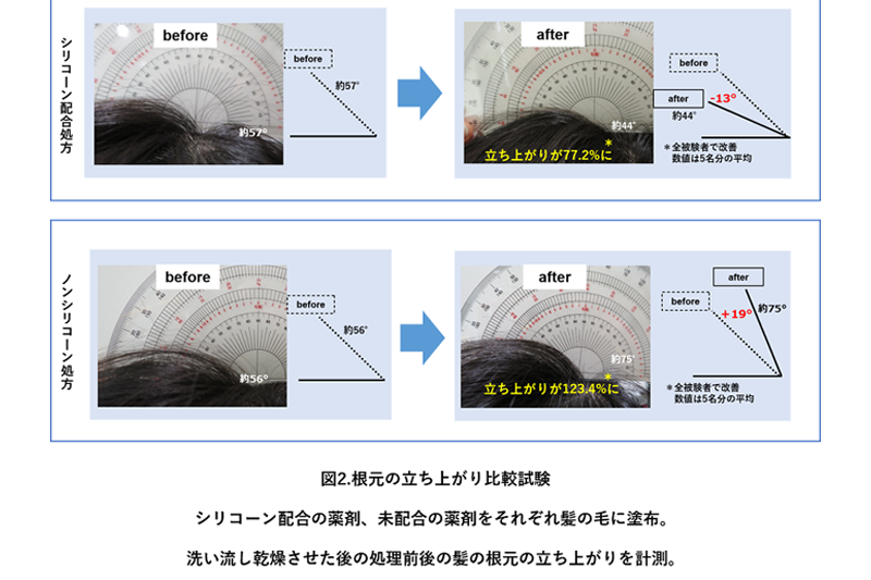 根本の立ち上がり比較試験