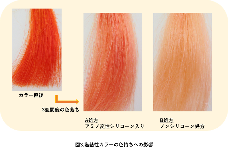 塩基性カラーの色持ちへの影響