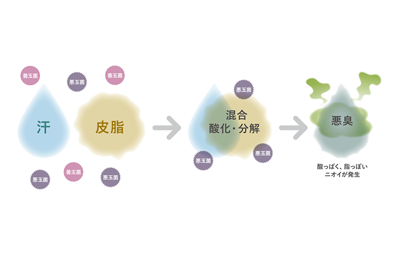 悪臭が発生するしくみ