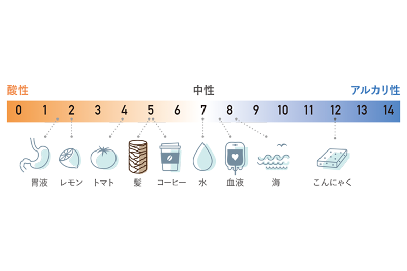 pHレベル